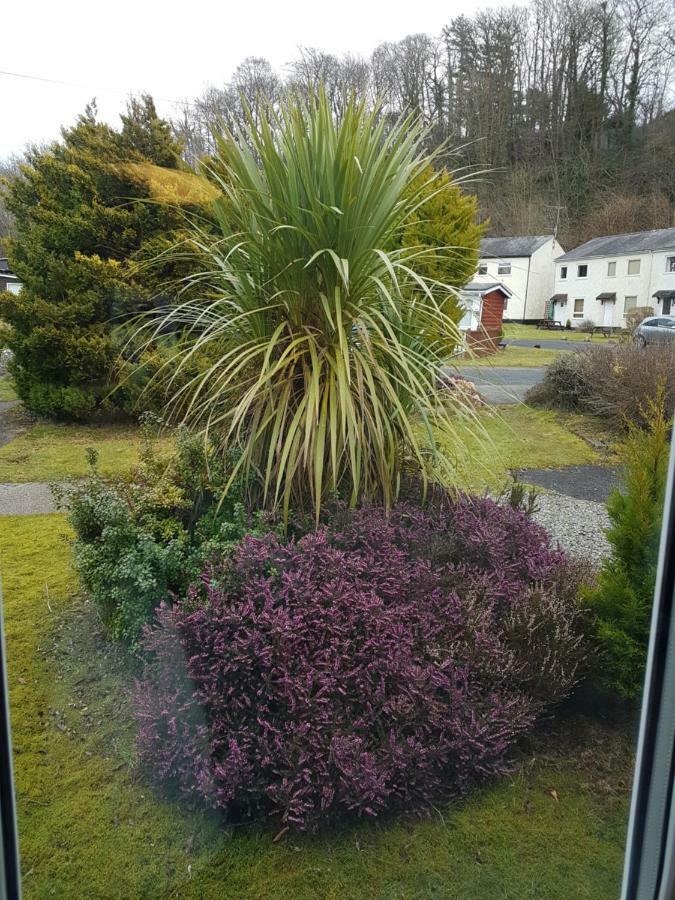 Cabin 246 Riverside, Glan Gwna Caeathro Exterior foto
